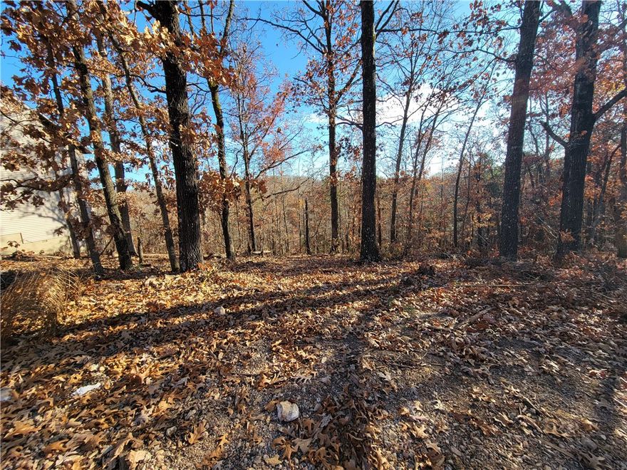 This cul-de-sac lot backs up to the Taylor Homestead mountain bike trail and is located near the Sbat trail.  The seller had a recent perc test performed with the results showing 375 ft of lateral lines needed for a 3-bedroom septic system and 250 ft. of lateral lines needed for a 2-bedroom septic system.  Go check out this lot to see if would enjoy living in this quiet, serene setting.  Bentonville schools.