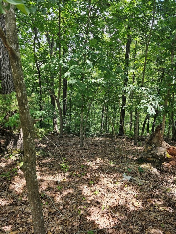 Beautiful 11.41-acre parcel near Beaver Lake in Lowell with buildable space on Blueberry Ln. Ideal for your dream home or lake retreat! Located just minutes from Hickory Creek Marina, I-49, and convenient to Rogers, Springdale, Lowell, and Fayetteville. A rare opportunity to own scenic acreage near the water!