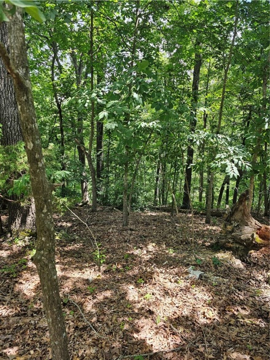 Beautiful 11.41-acre parcel near Beaver Lake in Lowell with buildable space on Blueberry Ln. Ideal for your dream home or lake retreat! Located just minutes from Hickory Creek Marina, I-49, and convenient to Rogers, Springdale, Lowell, and Fayetteville. A rare opportunity to own scenic acreage near the water!