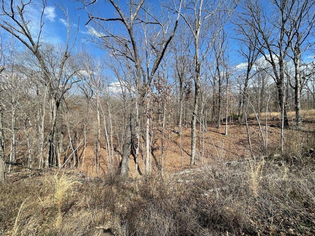Bentonville schools! This lot is on the east side of Bella Vista and offers the opportunity to have access to all the Bella Vista amenities! Bella Vista is a recreational community with so much to do. Close to Bentonville and the Wal-Mart home office, the community of Bella Vista has 7 golf courses, a practice and driving range, 7 lakes for fishing and boating and swimming, a private POA beach at Lake Avalon, miles of hiking and biking trails, swimming pools, parks and pavilions, an RV park and campground, dog park, gun range, tennis, 3 fitness facilities, mini golf, disc golf, Pickleball and more! This community has a lot to offer with an affordable POA of just $16/month for unimproved lot to gain access to all the amenities Bella Vista has to offer!