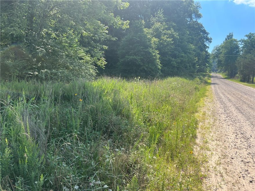 Highway frontage corner lot! Don't miss the opportunity you have been waiting on to build your dream home on 6.48 +/- acres. Electricity is onsite. Water at the road. There are multiple building locations. This property has a lot to offer. Conway, AR and Greenbrier, AR just a short distance from this property.
