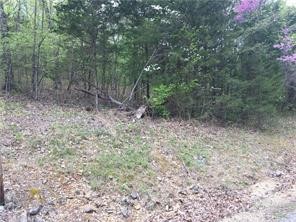 Easy access to Beaver Lake