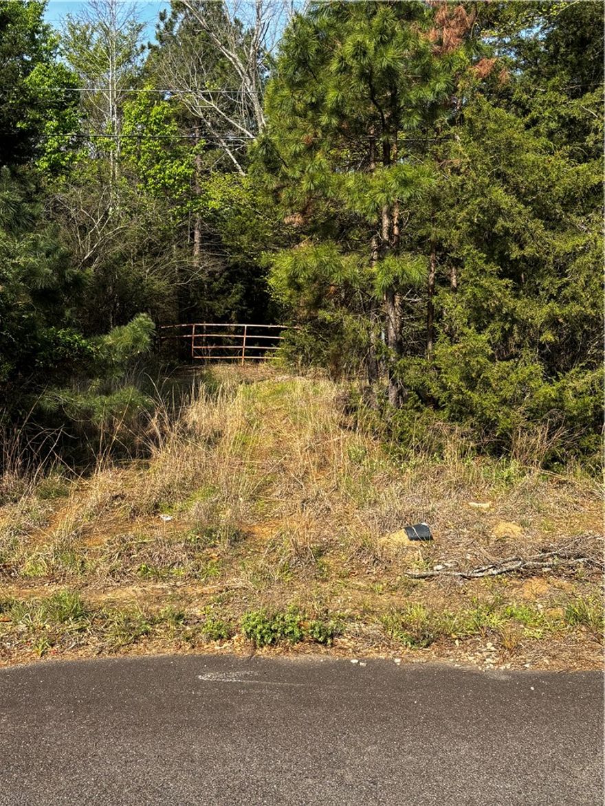 If you are a fisherman then you will love this property. Just a hop, skip and jump from the White Oak River Park. Back water to the Arkansas River! Land lays well and there was an old mobile home on it at one time. No septic guaranteed though. Lots of timber for privacy. No minerals Approx 330 X 1320. Enjoy the quiet county life.