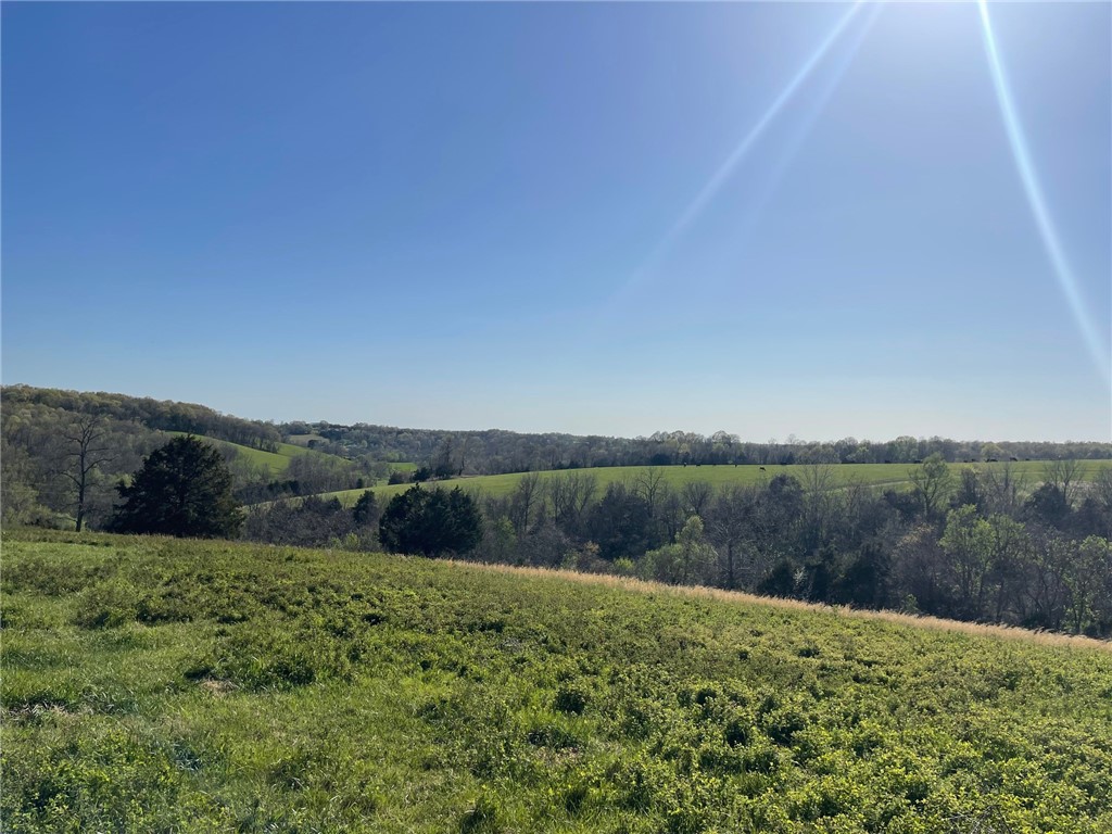 130 acres in the Heart of the Ozarks! Come enjoy the beautiful views this property has to offer, see the sunrise and sunset for miles. Currently a working cattle/horse farm, with endless possibilities. This land would be ideal with multiple home sites, a hunting paradise, farmland, development/bike trail potential, or a business of your own choosing. Peaceful rolling hills, pasture, multiple ponds, springs, hardwoods, and roads throughout. Located approx. 5 miles from Hobbs State Park Pigeon Roost Trail.
