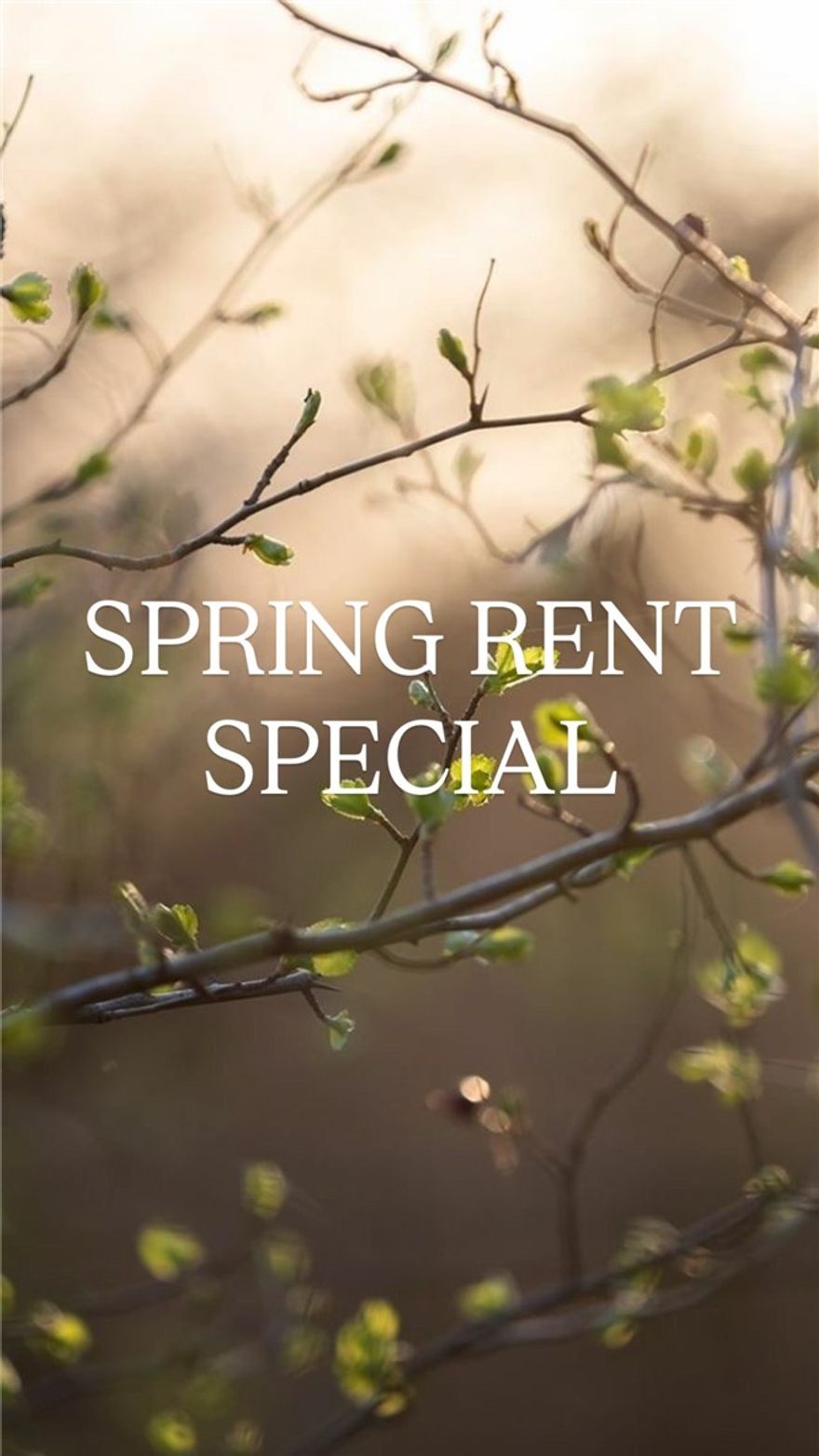 Spring rent special! Half off first month's rent. Unique and modern best describe these 3 bed 2.5 bath Brand New Construction Duplexes in SW Bentonville. Lots of amenities that include granite counter tops, luxury vinyl Plank flooring throughout, 2" faux wood blinds, upstairs study nook, ALL appliances, private covered back patio and more. Walking distance to Bentonville's newest Creekside Park, a 35-acre community park, with regulation cricket field, pickleball courts, evening-lit dog park, splash pad, playground and passive recreation space with a group pavilion. Close to everything Bentonville has to offer. **Pics may not be of exact unit**