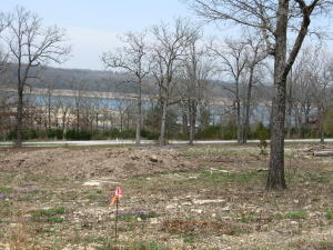 Lakeview, walk to the Marina, 2 boat launch area's and playgrounds within walking distance, water, sever, high speed fiber optic and electric all available, lot has been survey and marked. Great opportunity! Listing agent is asset manager and active licensed real estate broker.