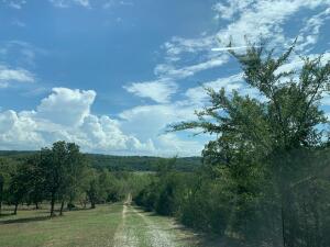 This nice 17.24 acres joins the Corp of Engineer on Bull Shoals Lake in Horse Hollow cove with a gentle slope to the lake. Not far off the paved road. Easy walk to the lake from this acreage. Very private. No restrictions.