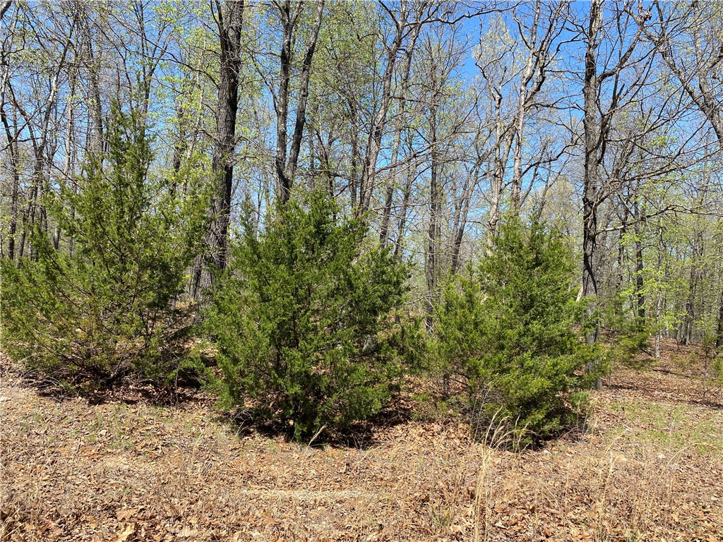 Webbs Landing  2 - Land