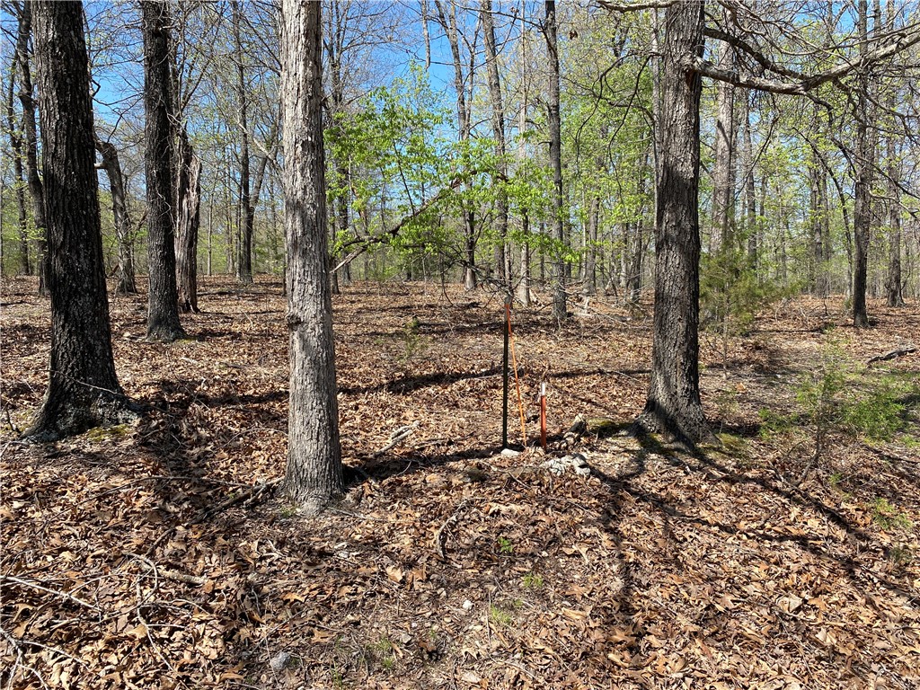 Webbs Landing  2 - Land