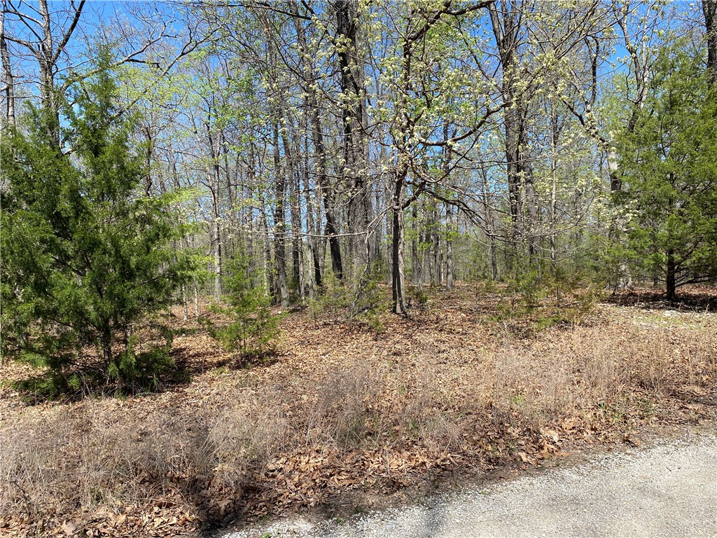 Webbs Landing  2 - Land