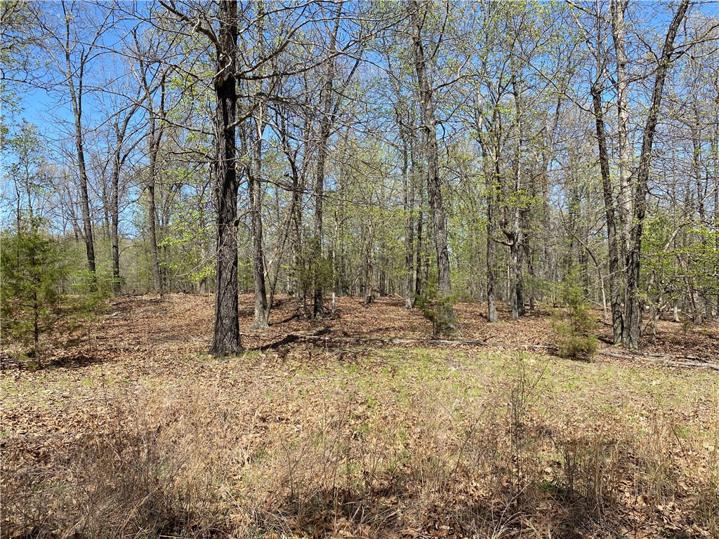 Webbs Landing  2 - Land