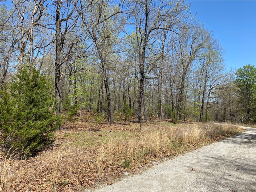 Webbs Landing  2 - Land