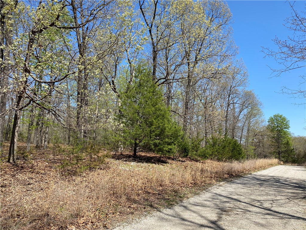 Webbs Landing  2 - Land