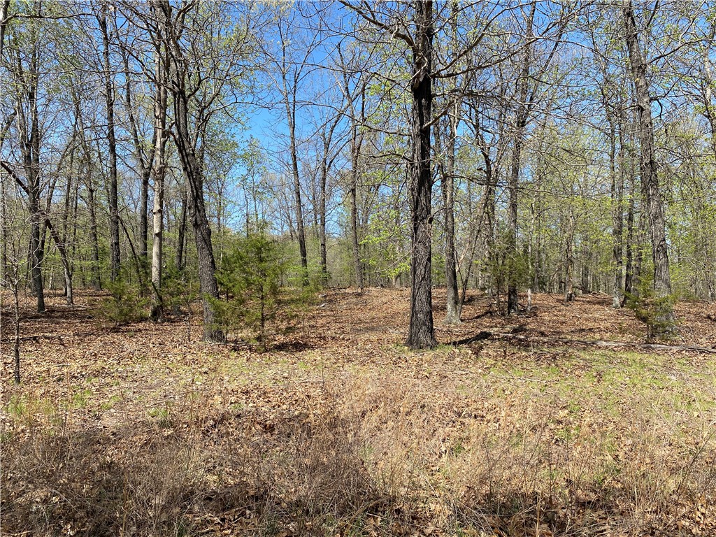 Webbs Landing  2 - Land