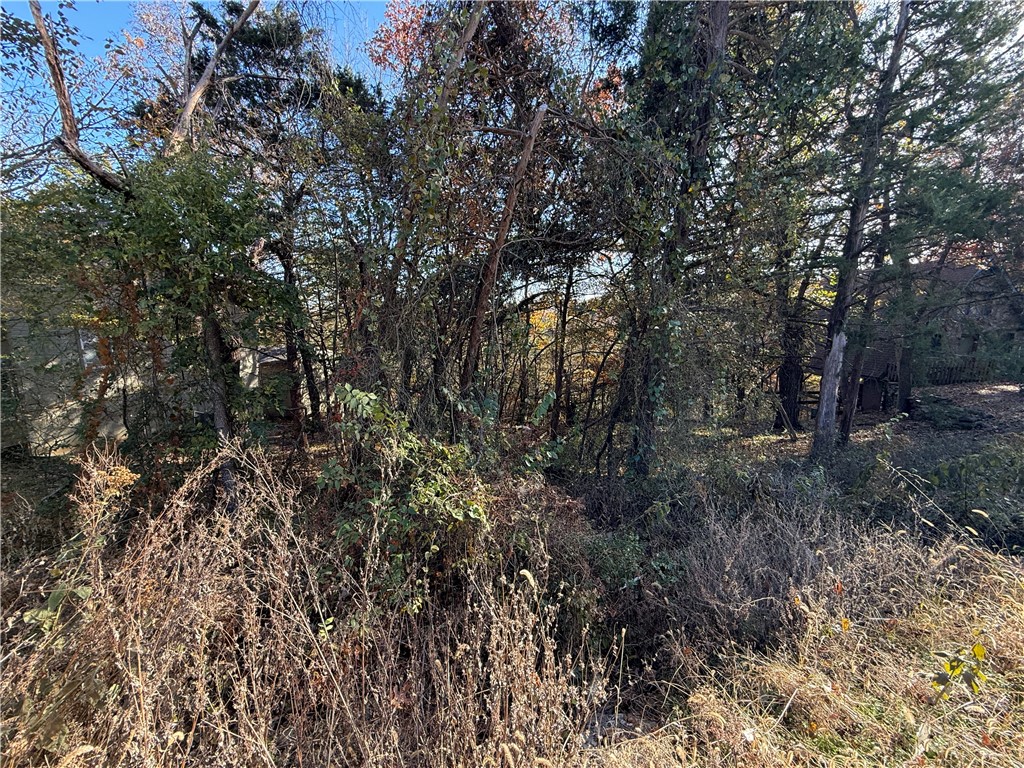 Unit 5 Holiday Island - Land