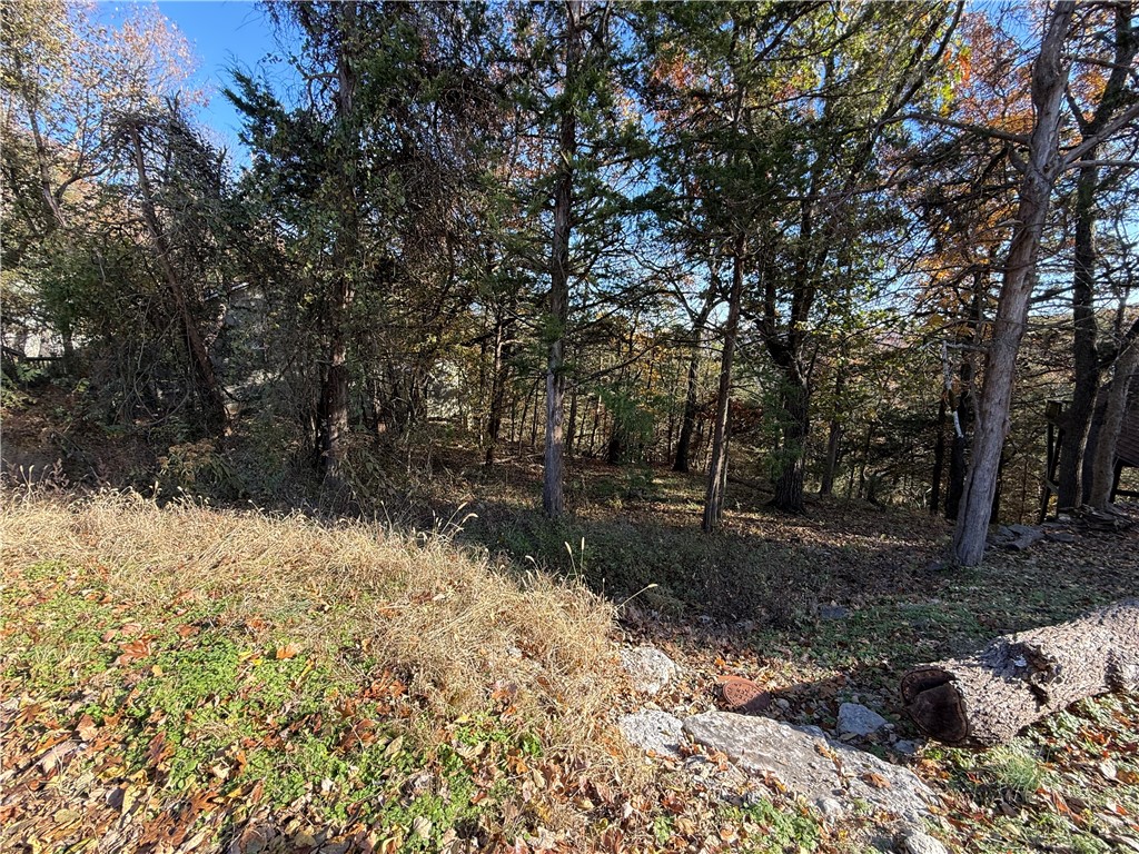 Unit 5 Holiday Island - Land