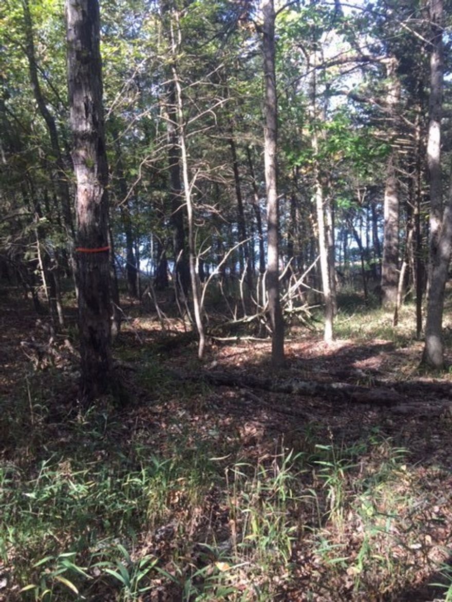 Gorgeous 27.44 acres of lake front, zoned for docks property, and 59.94 acres of spectacular lake views