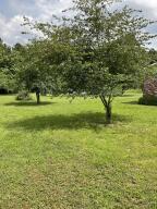 Country Manor - Residential