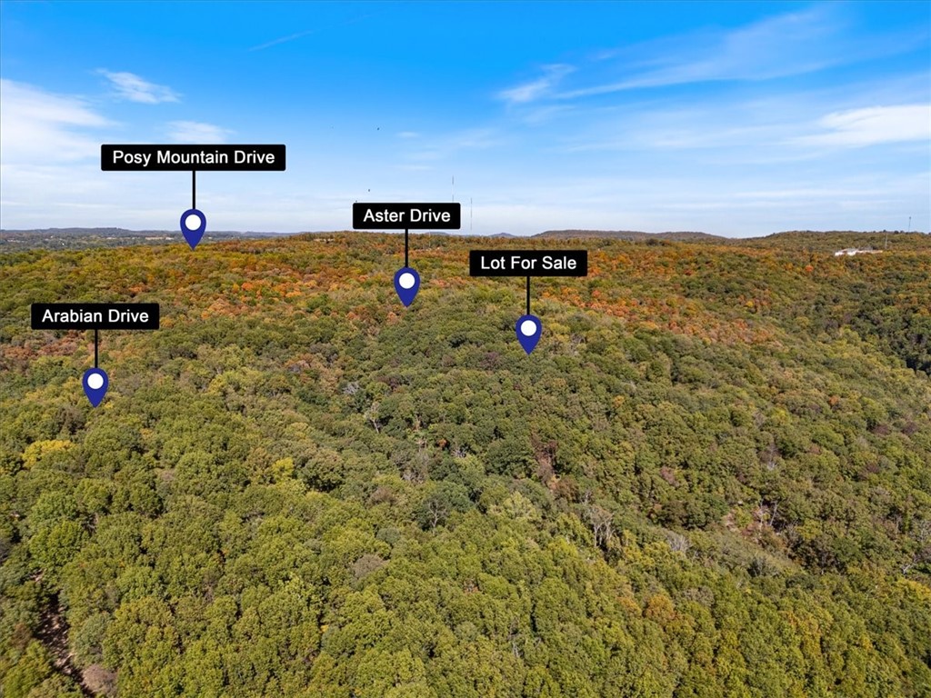 Posy Mountain Ranch Unit 7 Rurban - Land