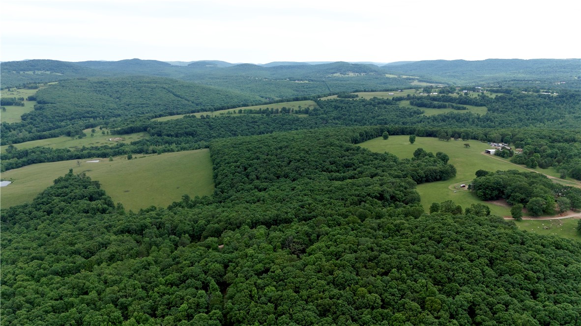 If you're dreaminā of the country life, this 8-acre build site in Madison County is calling your name. Tucked off County Road 5310, this property is pure Ozark mountain charm, with just enough elevation change to give you some beautiful spots to build your home or cabin without sacrificing the ability to do so. The property is covered in mature oak trees, and the canopy they create gives the whole place a park-like feelāno unsightly underbrush to look at! These oaks also make for a great mast crop come fall, drawing in plenty of deer and other wildlife. Deer have been spotted almost every visit, and thereās just enough acreage to hang a stand and bow hunt!
Power runs along the north side near the county road, and a soil analysis has already been completed. On the southern end, a wet-weather stream adds a nice touchāperfect for relaxing after a long day. With plenty of room and multiple build sites, itās ideal for a large family or a quiet weekend getaway.
20 minutes to National Forest
Close to ATV Trails