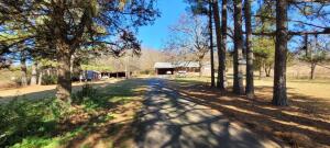 Just ten minutes to I-40 is a country style house that has been remodeled with so many new things! From the roof that was installed in 2018 to theall new windows that are under warranty. There is a very nice updated kitchen that has new cabinets, sink, dishwasher, island on wheels and isopen to the dining room that has a fireplace(wood burning with blowers) that has also been updated with new trim and paint! The sunroom is whereyou will enjoy all those nice days watching the birds and just relaxing on the new porch swing. In the spring you will see all the beautiful flowersand can enjoy the Pecan & Pear trees, Muscadine vines and Blackberry bushes. Brand new bathroom from the subfloors to the lighting! All new!New carpet, paint, ceiling molding & baseboards, new breaker box