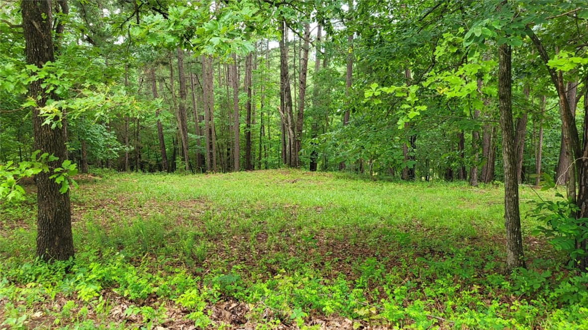 Recently surveyed 3-Acre, buildable lot for sale in a sought after beaver lake location, near Rogers. Only a few minutes from a boat ramp. No Mobile homes allowed. Minimum 1800 sq.ft. build. Mostly wooded lot, has room for 2 or 3 homes with a sloped ravine behind for privacy. 540 feet of road frontage. requires well and septic. taxes are estimated.