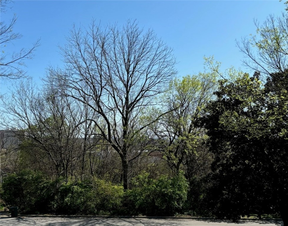 Rare Opportunity – Nearly Half Acre Lot on Historic Mt. Nord
Discover the last remaining undeveloped lot in the coveted Mt. Nord Historic District. This is a timeless, nearly half-acre property offering unmatched charm and location.
Tucked between Mt. Nord and Lafayette Street, this remarkable parcel overlooks the Fayetteville Downtown Square, placing you within walking distance of the University of Arkansas, Wilson Park, and the vibrant Fayetteville business district.
This land has been held by a single family for generations and remains one of the few untouched pieces of history in the area. This is a once-in-a-lifetime opportunity to build your dream home in a truly storybook setting.
Don’t miss this chance to create your legacy in one of the city’s most sought-after and picturesque neighborhoods.