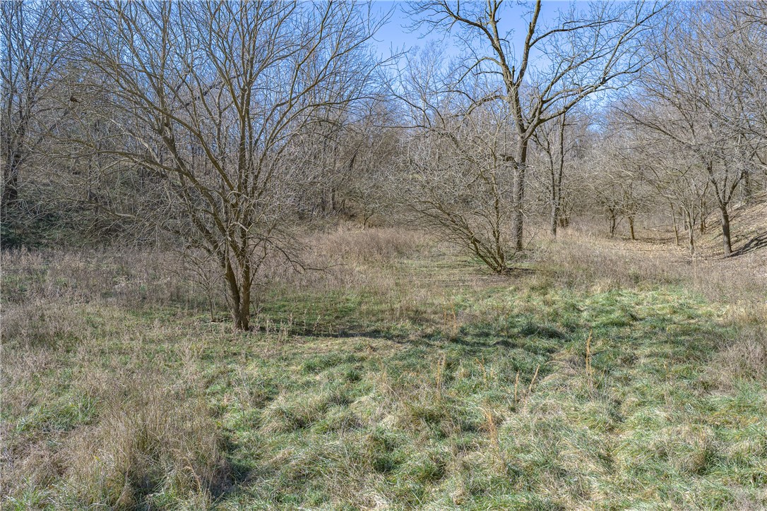 03-19-33-Rural - Residential