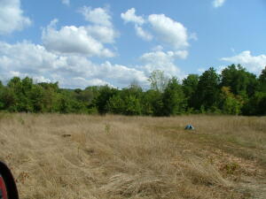 20 acres all usable land,