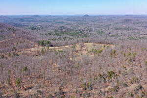 Check out this amazing 340 +/- acre tract in Izard County, Arkansas, less than 10 minutes outside of Melbourne. If you enjoy exploring, hunting, hiking, caves, UTV rides, or just majestic mountain views then this is your dream place. As you enter through the automated gate at the entrance, you will climb a newly constructed road up the plateau right where your 1,536 +/- square foot home sits. Right away you will have your breath taken away by the amazing views that Izard County is so famous for. The home is a country-style 3 bed, 2 full bath with a complementing 2 car garage set up right next door for plenty of room for vehicles or equipment storage.