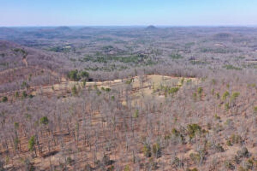 Check out this amazing 340 +/- acre tract in Izard County, Arkansas, less than 10 minutes outside of Melbourne. If you enjoy exploring, hunting, hiking, caves, UTV rides, or just majestic mountain views then this is your dream place. As you enter through the automated gate at the entrance, you will climb a newly constructed road up the plateau right where your 1,536 +/- square foot home sits. Right away you will have your breath taken away by the amazing views that Izard County is so famous for. The home is a country-style 3 bed, 2 full bath with a complementing 2 car garage set up right next door for plenty of room for vehicles or equipment storage.