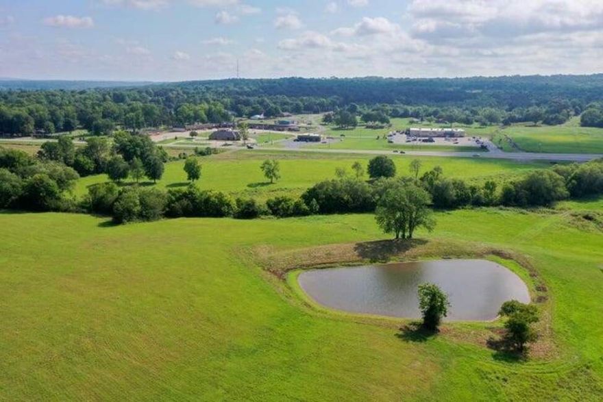 Over 51 acres of pasture and timberland in the Heart of Dover with Highway 7 frontage. What a great location for you to build a family farm or subdivide. Linker Creek flows through the property and a large pond is on site.