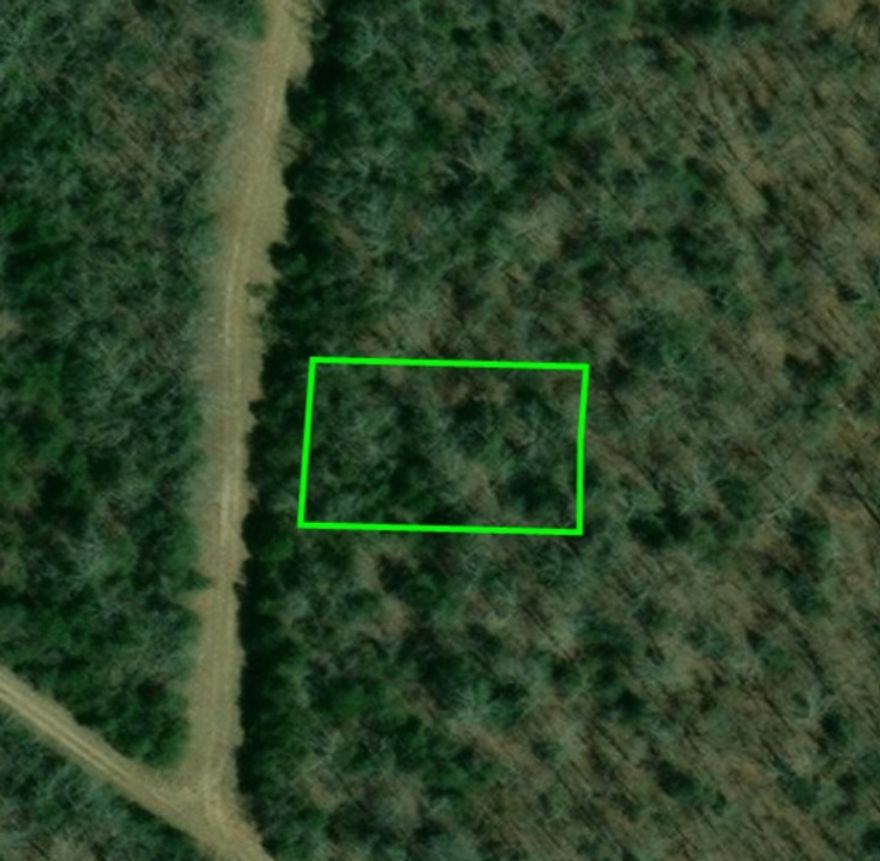 Build a new home on this .30 (+/-) spacious lot in Horseshoe Bend of Izard County. You will enjoy the lake life and being close to local amenities. There are 3 lakes that are only minutes away. Manufactured, mobiles and tiny homes are not allowed in this subdivision. Property conveys a Limited Warranty Deed.