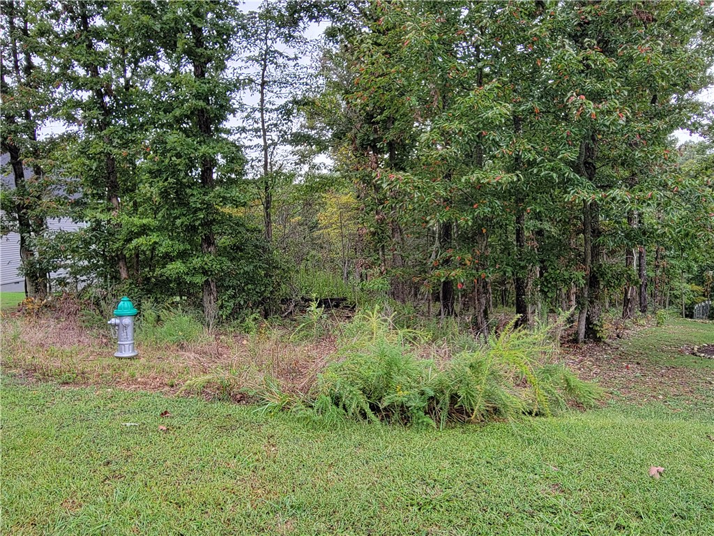 Large lot with excellent perc test results for a 3-bedroom septic system! The front half of the lot has only a mild slope and would make a great building site for your new home. Behind the lot is wooded common area providing privacy and a peaceful setting for your connection with nature. Located near Lake Anne and close to mountain bike trails, including The Back 40 and Sbat trails. Go check out this lot to see if this is a good place for your new home. Bentonville schools.