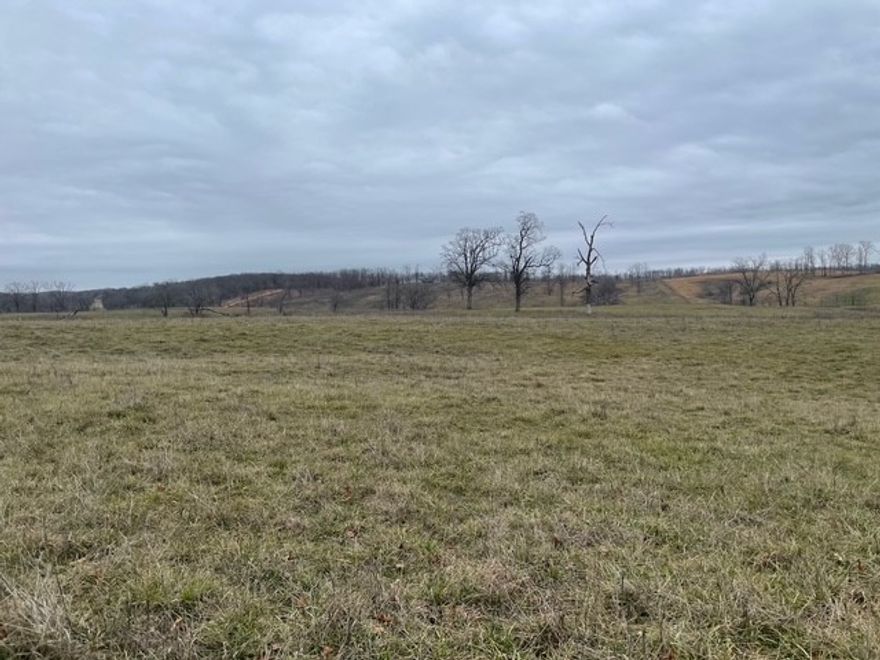 108+/- acres of great pasture. Pending before print.