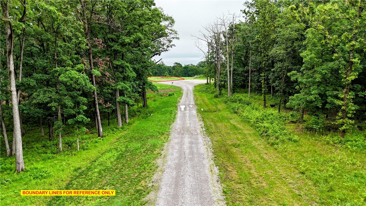 Bertschy Acres - Land