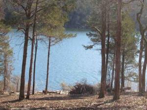 Perfect lot to park your camper or build a home. Unobstructed views of Bull Shoals Lake and with high water the lake is even on the edge of the property. Property is wooded but has clearing and drive. Only minutes to boat launch.