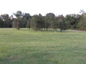 8.0 acres more or less.