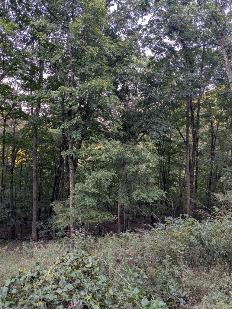 Unit 11 Holiday Island - Land