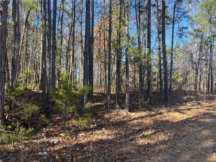 9.58 wooded acres in Jasper AR near the Buffalo National river, lots of hiking trails, wildlife, and other outdoor recreation. Property offers lots of flat building spots in quiet area. Power and water available. Additional acreage available. Property to be surveyed with contract.
