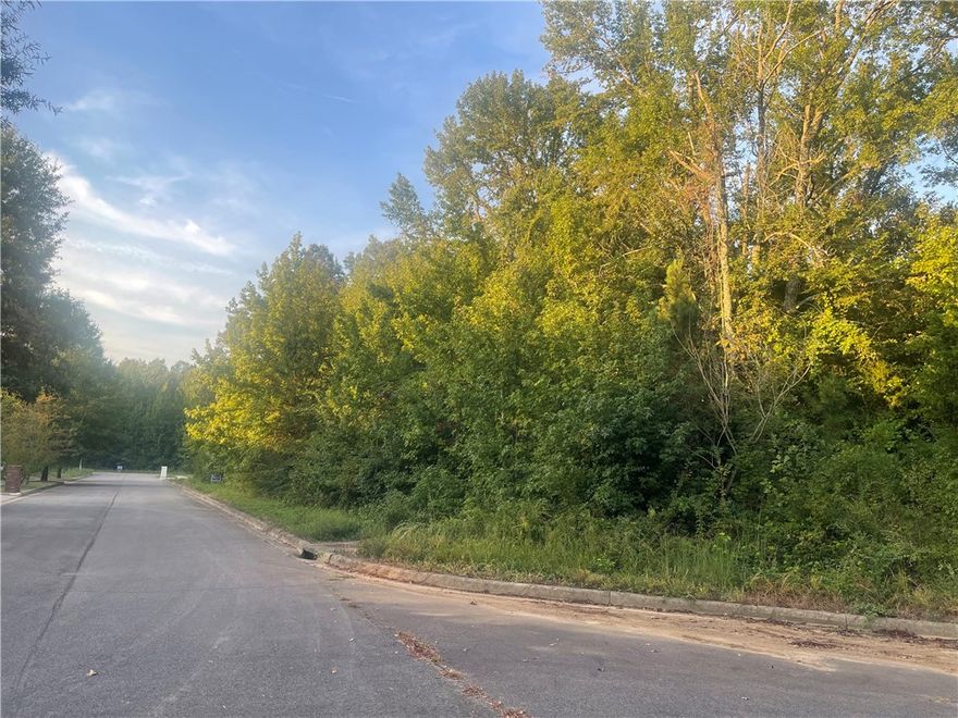 READY TO BUILD, gorgeous lots in a peaceful, well-planned subdivision. Looking to construct your dream home or an investment--this is perfect! Tranquil setting in a newer subdivision hosts close proximity to restaurants, public schools, downtown. Premium lot is level and in a cul de sac. "End of road" location insures minimal traffic.