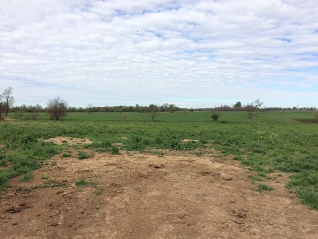 Excellent property for development in city limits of Bentonville , frontage on Vaughn Rd and Motley Rd