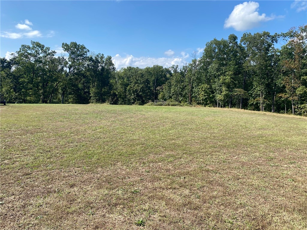 Beautiful 4 acres adjacent from Hole #4 on the Big Sugar Golf Course. Great land for a new home and/or new home with shop. Plenty of space. Quiet living just minutes from downtown Pea Ridge restaurants, shopping, and schools.
*Mobile homes are NOT allowed. The minimum square footage on a new home is 2,500.