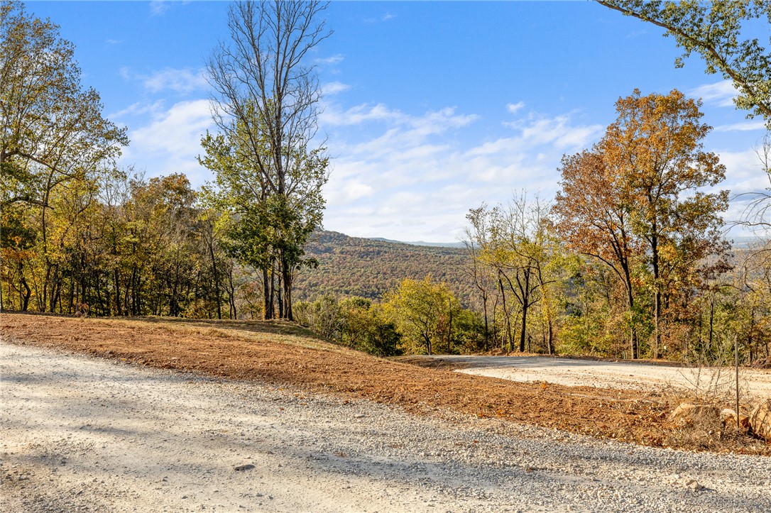 Round Mountain Estates - Land