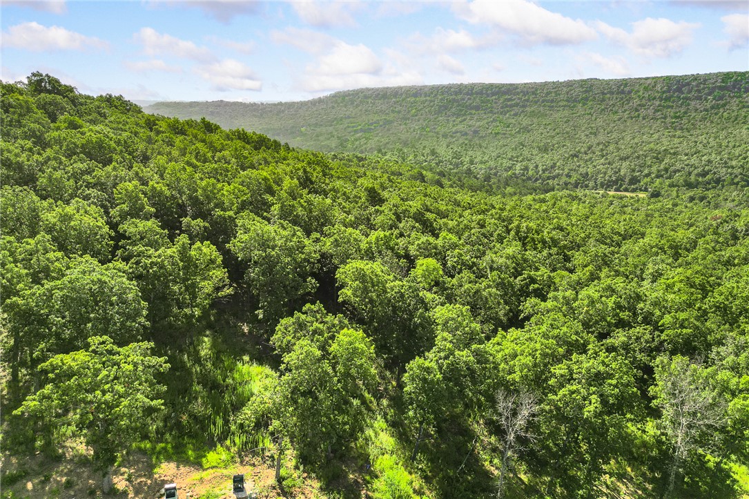 Round Mountain Estates - Land