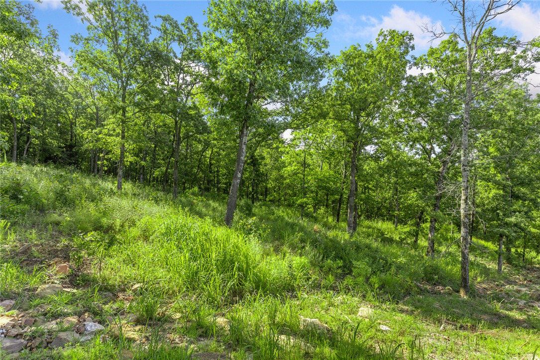 Round Mountain Estates - Land