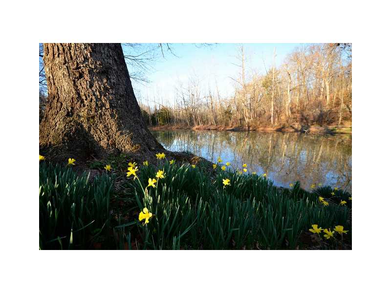 Knolls - Land