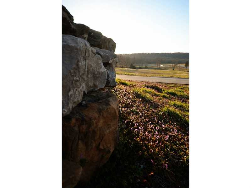 Knolls - Land