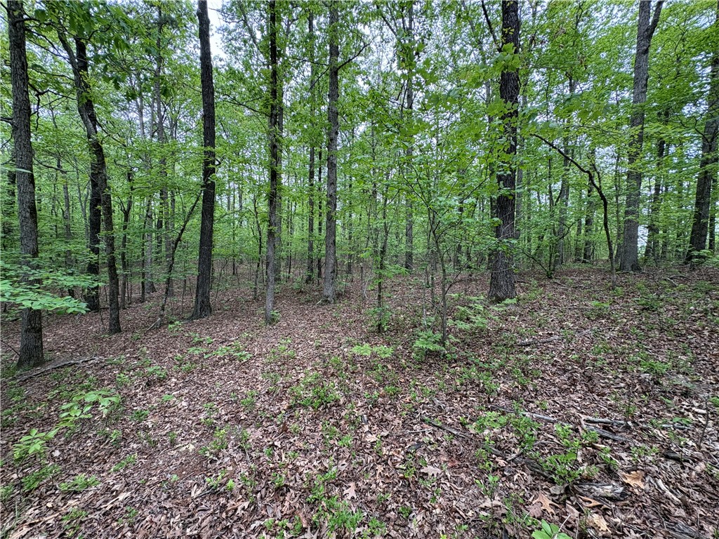 34-4S-26W RURAL ACREAGE - Land