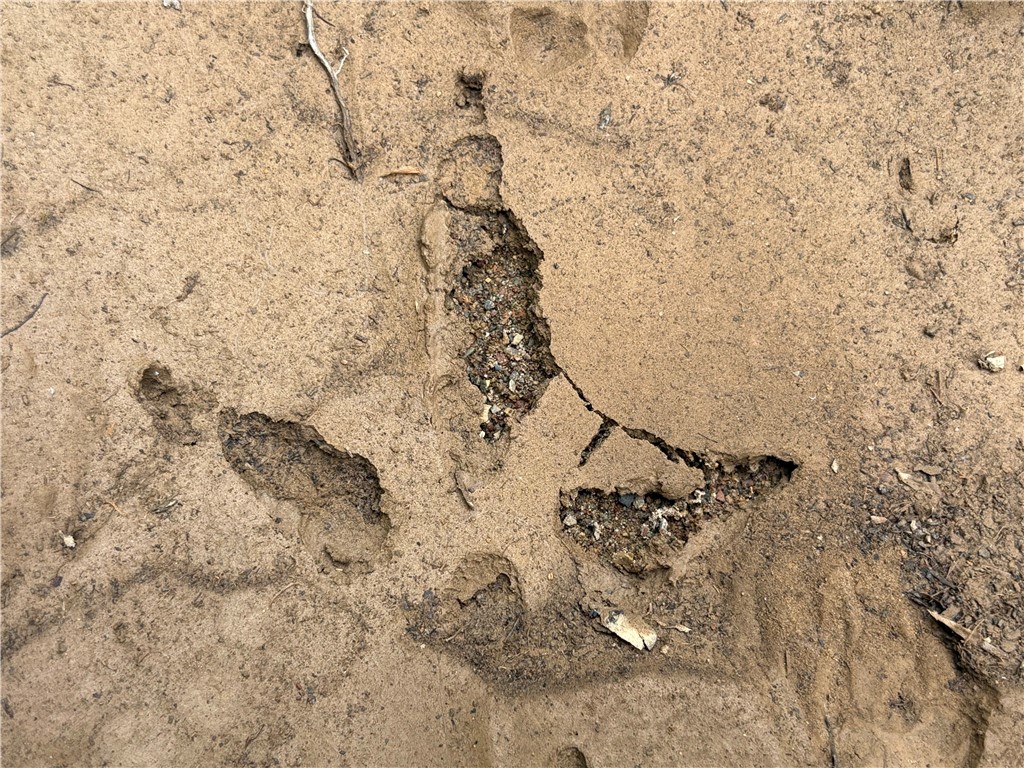 34-4S-26W RURAL ACREAGE - Land